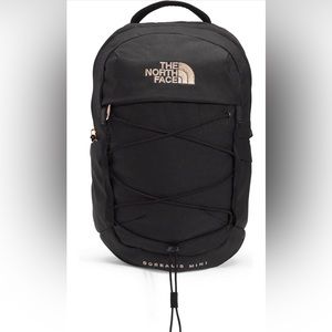 The North Face 10L Mini Borealis Laptop Backpack